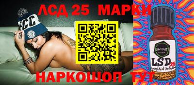 крисы Аргун