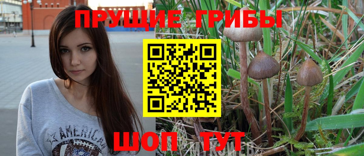 Галлюциногенные грибы GOLDEN TEACHER Благодарный